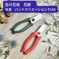 生け花用 花鋏 165mm 華道 坂源 ハンドクリエーション F165 凛 レッド モスグリーン 日本製 ハサミカバー…