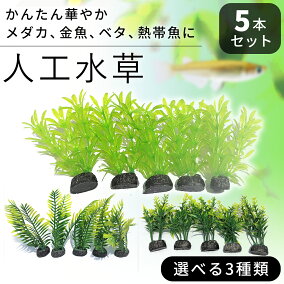楽天市場 人工水草 人気ランキング1位 売れ筋商品