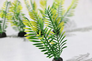  lH ANAE 5{Zbg _J Mы  eg  CAEg