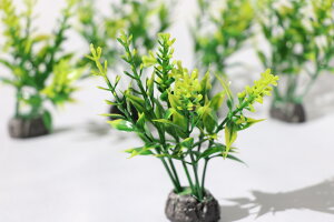  lH ANAE 5{Zbg _J Mы  eg  CAEg