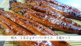 送料無料！180g特大！ 炭火 手焼き うなぎ 蒲焼 (長焼き) 3尾セット
