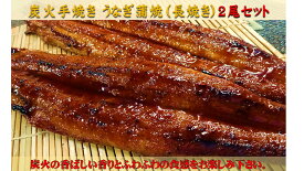 送料無料！炭火手焼き うなぎ 蒲焼 (長焼き）2尾セット