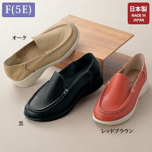 Xb| V[Y fB[X  ~ZX VjA t@bV 50 60 70 80 SݓXʔ̔̔i v F(5E) Xb|V[Y 傫TCY 5E