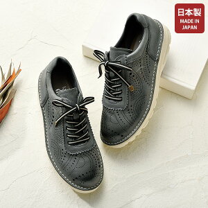 EH[LOV[Y C 40 50 60 70 80 ~ZX VjA t@bV l  fB[X / h[ A.S.W RtH[gvp`O SREH[LOV[Y ASW Dola