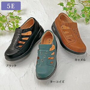 EH[LOV[Y C 40 50 60 70 80 ~ZX VjA t@bV l  fB[X / 5E GA\[V[X[ EH[LOV[Y