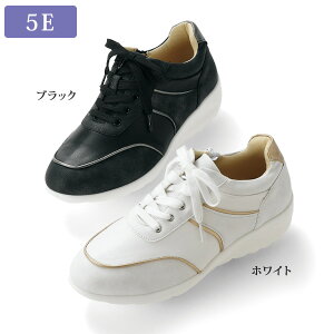 Xj[J[ V[Y fB[X  40 50 60 70 80 ~ZX VjA t@bV / 5E Rr fUC Xj[J[