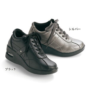 EH[LOV[Y fB[X  ~ZX VjA t@bV 40 50 60 70 80 GA\[ p`O EH[LOV[Y