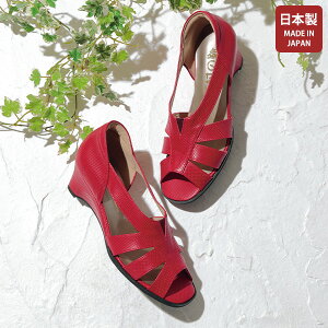 pvX V[Y fB[X  ~ZX VjA t@bV 50 60 70 80 GďC ^vT}[pvX