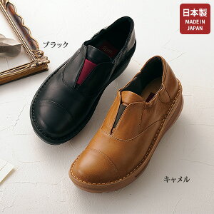 RtH[gV[Y fB[X  ~ZX VjA t@bV 50 60 70 80 tB[h NEh\[bSRtH[gV[Y