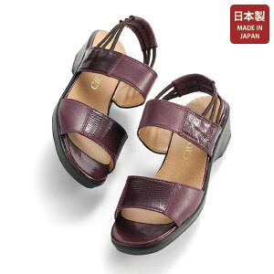 T_ V[Y fB[X  ~ZX VjA t@bV 50 60 70 80 vGiRrobNohT_