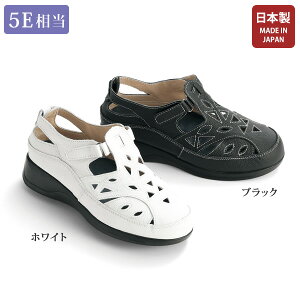 T_ V[Y fB[X  ~ZX VjA t@bV 50 60 70 80 v5E fUCT_