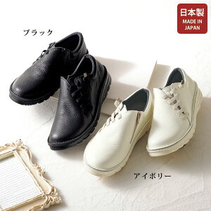 EH[LOV[Y fB[X  ~ZX VjA t@bV 50 60 70 80 h[ A.S.W RtH[gvTChS EH[LOV[Y Dola