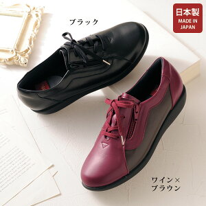 EH[LO V[Y fB[X  ~ZX VjA t@bV 50 60 70 80 n[u vyʃEH[LOV[Y herb