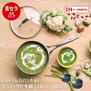 y50̂ PO10{zyZzЎ  KXW t IH KX Ή Z~bNH tbf  Jh~E sgp XeX nh M`̗ǂ ԊO 18cm 20cm PFOA PTFE t