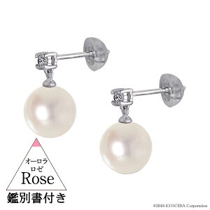 AR^ sAX I[[ 8mmUP v`i _C X^bh ӕʏt p[sAX6a Z v[g Mtg