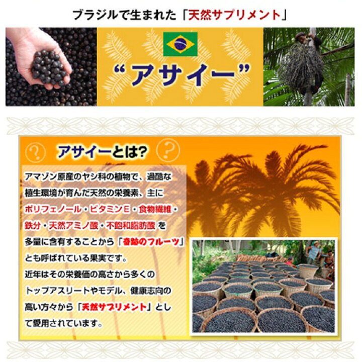 送料無料 サンバゾン アサイー 冷凍 スムージー 無糖 アサイーボウル アサイー アサイーピューレ アサイースムージー アサイーベリー ジュース SAMBAZON 100g 60袋 要冷凍 キョウダイ マーケット