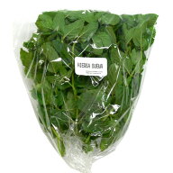 フレッシュ イエルバ ブエナ（ミント）約50g 冷蔵yerba buena fresca【モヒート　ミント】【イエルバブエ…