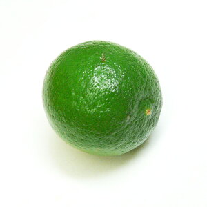 y_E悵zLVRY L[C 1 ①yC@̔@zy@zyC@ʔ́zyJCs[j@q[g@Czysale02z