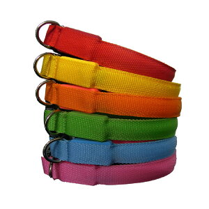 y1000~|bLz2{Zbg   L LEDCg USB[d ybgp  S M L ^ ^ ^ ̎U S ̖h~ qh~ h TCY  킢 ybgObY 