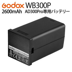 【日本正規代理店】 GODOX AD300pro 用 バッテリー WB300P ゴドックス 純正 正規品 リチウムバッテリー スペアバッテリー 予備電源 長時間撮影 ロケ撮影 ポートレート 物撮り に 安心の純正品