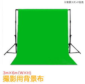 Bep wiz  s TCY Rbg100ʐ^Bep 3m×6m O[iΐFzj286
