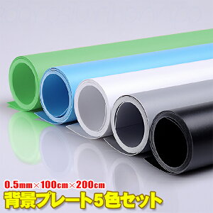 yyVX[p[SALE ő50%OFF!!zy5FZbgz100cm×200cm BepwiV[g wiv[g wi wiz obNOEhy[p[468
