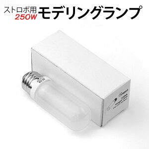 yyVX[p[SALE 50%OFFz BeƖ Xg{p fOv 250W ėp ݊  \ XyA nQv 100V X^WIBe B iBe |[g[g lBe ECTCg v