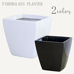 t@Co[OX v^[ [960-0039] A[o|bgAS^ AS-50^ (W:10058201K) (MGR:10058255K) Aؔ Jo[ Vv  ^  K[fjO (TCY 50.0×s50.0×47.0cm)