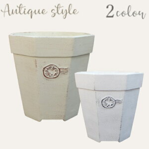 y15%OFFzAؔ v^[ t@Co[Xg[ [194-452SS] 5`6  킢 AeB[N K[fjO  K[f  | x_ oRj[ 蕨 Mtg v[g (T