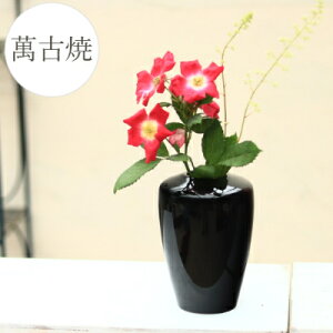 ԕr [149-01-02] Ԋ  CeA { ݌Ï Y t[x[X IuWF _ ֑}  Vv x[VbNyǕi AEgbgZ[z (TCY a11.5×17.0cm)