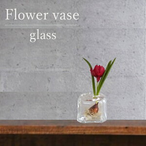 ԕr [207-302-3] Ԋ KX CeA t[x[X IuWF _ ֑}  Vv x[VbN CeAG݁yǕi AEgbgZ[z (TCY 6.5×s6.5×6.0cm)