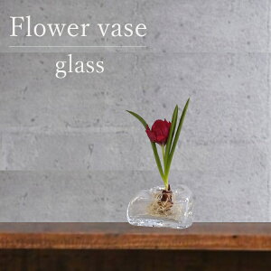 ԕr [207-302-5] Ԋ KX CeA t[x[X IuWF _ ֑}  Vv x[VbN CeAG݁yǕi AEgbgZ[z (TCY 8.0×s5.5×4.5cm)