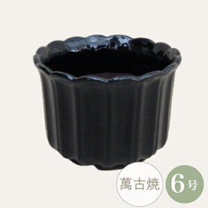 yZ[za R쑐 [4000-51-1] 6 Aؔ ݌Ï a  { T2^ (TCY a17.5×13.0cm)