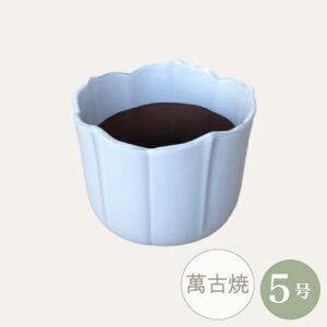 yZ[za R쑐 [4019-03-2] 5 Aؔ ݌Ï a  { Ԍ^ (TCY a15.0×11.8cm)