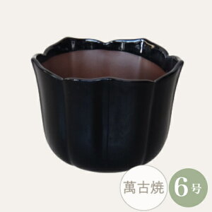 yZ[za R쑐 [4019-05-1] 6 Aؔ ݌Ï a  { Ԍ^ (TCY a18.0×13.0cm)