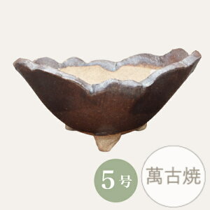 yZ[za ~͔ R쑐 [4021] Aؔ ݌Ï a  { (TCY 17.0×s14.0×7.0cm)