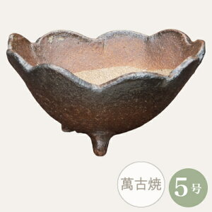 yZ[za ~͔ R쑐 [4022] 5 Aؔ ݌Ï a  { (TCY 15.5×s14.5×8.0cm)