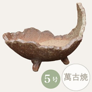 yZ[za ~͔ R쑐 [4043] 5 Aؔ ݌Ï a  { (TCY 16.0×s14.0×5.0cm)