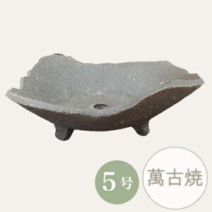 yZ[za ~͔ R쑐 [4047] 5 Aؔ ݌Ï a  { (TCY 17.0×s15.0×6.0cm)