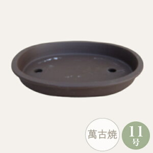 yZ[za ~͔ [5075] ݌Ï 11 IJ Aؔ a  { (TCY 34.5×s28.0×5.5cm)