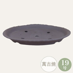 yZ[za ~͔ [5736] ݌Ï 19 ό`ioM Aؔ a  (TCY 59.5×s45.5×6.5cm)