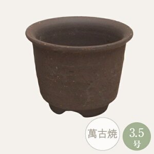 yZ[za R쑐 [6222] Aؔ ݌Ï a  { 3.5R쑐 (TCY a10.7×8.7cm)