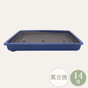 yZ[za ~͔ [9797] Aؔ ݌Ï a  { 14󒷊p (TCY 43.3×s30.6×6.0cm)