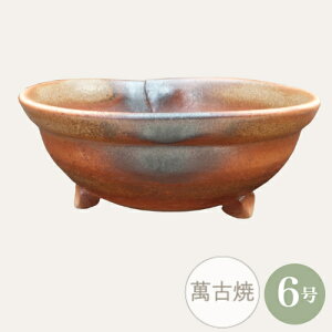 yZ[za ~͔ R쑐 [980-0556] 6 Aؔ ݌Ï a  { (TCY 19.0×s18.0×8.0cm)