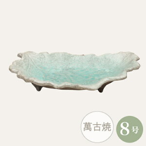 yZ[za ~͔ R쑐 [980-0564] 8 Aؔ ݌Ï a  { RPʔ (TCY 25.0×s16.5×4.0cm)