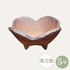 yZ[za ~͔ R쑐 [980-0567] 5 Aؔ ݌Ï a  { 葢 (TCY a15.0×6.0cm)