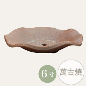 yZ[za ~͔ R쑐 [980-0585] 6 Aؔ ݌Ï a  { 葢 (TCY a20.0×4.5cm)