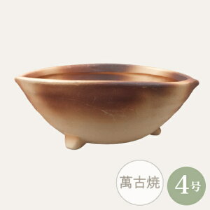 yZ[za ~͔ R쑐 [980-0687] 4 Aؔ a  (TCY a12.0×s15.0×5.5cm)