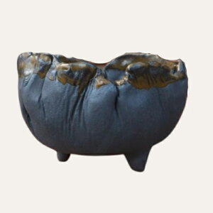 yZ[za ~͔ [980-0881] 4 Aؔ a  葢蔫 (TCY a13.0×8.0cm)