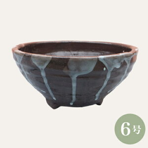 yZ[za ~͔ R쑐 [980-0898] 6 Aؔ a  葢(TCY a18.0×8.0cm)